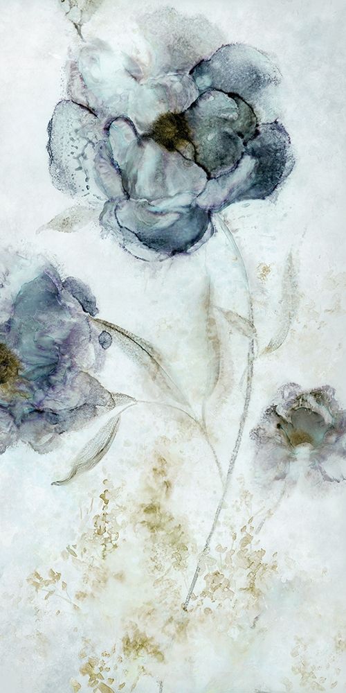 Morning Peony art print by Carol Robinson for $57.95 CAD
