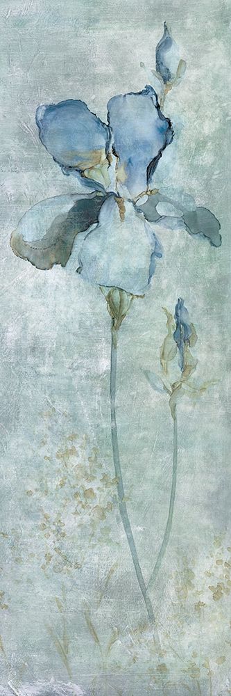 Blue Iris art print by Carol Robinson for $57.95 CAD