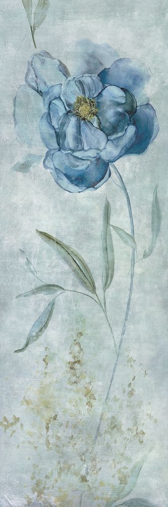 Blue Peony art print by Carol Robinson for $57.95 CAD
