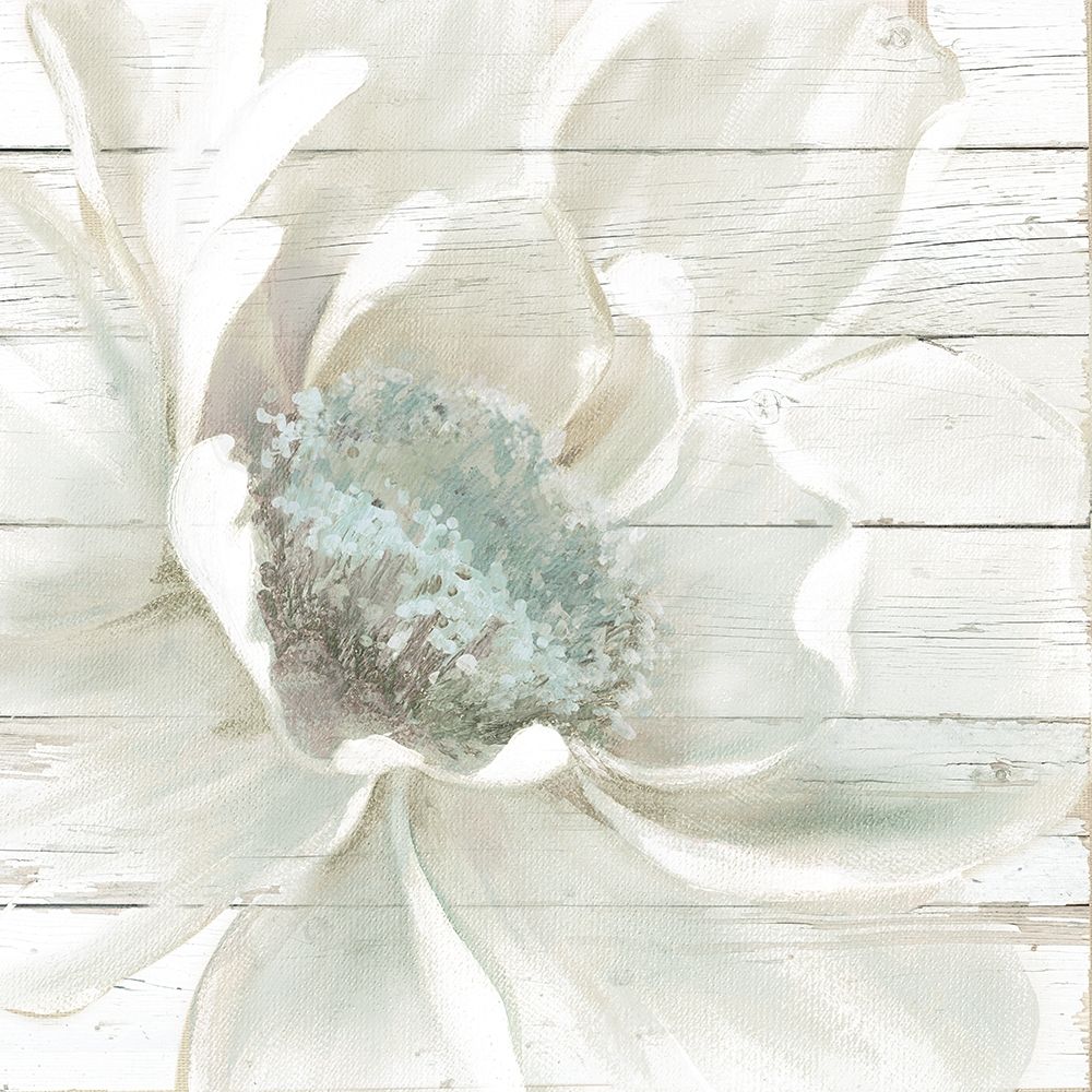 Weathered White I art print by Carol Robinson for $57.95 CAD