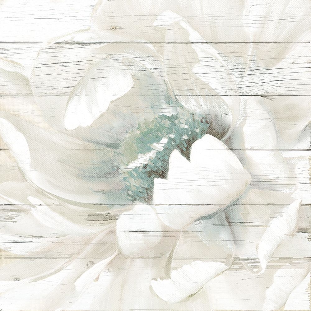 Weathered White II art print by Carol Robinson for $57.95 CAD