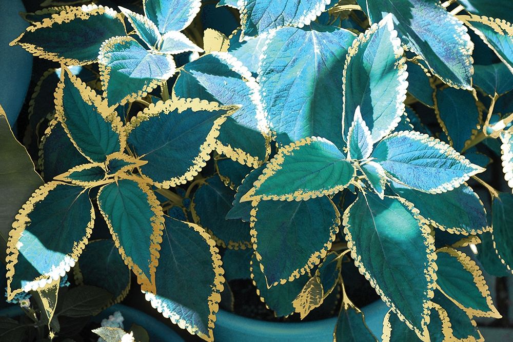 Tropical Leaves art print by Nan for $57.95 CAD