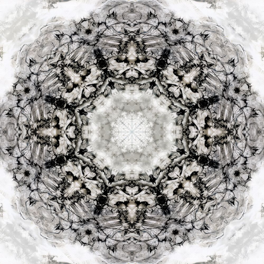 Black White Kaleidoscope art print by Nan for $57.95 CAD