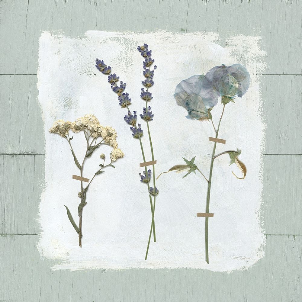 Pressed Flowers on art print by Carol Robinson for $57.95 CAD