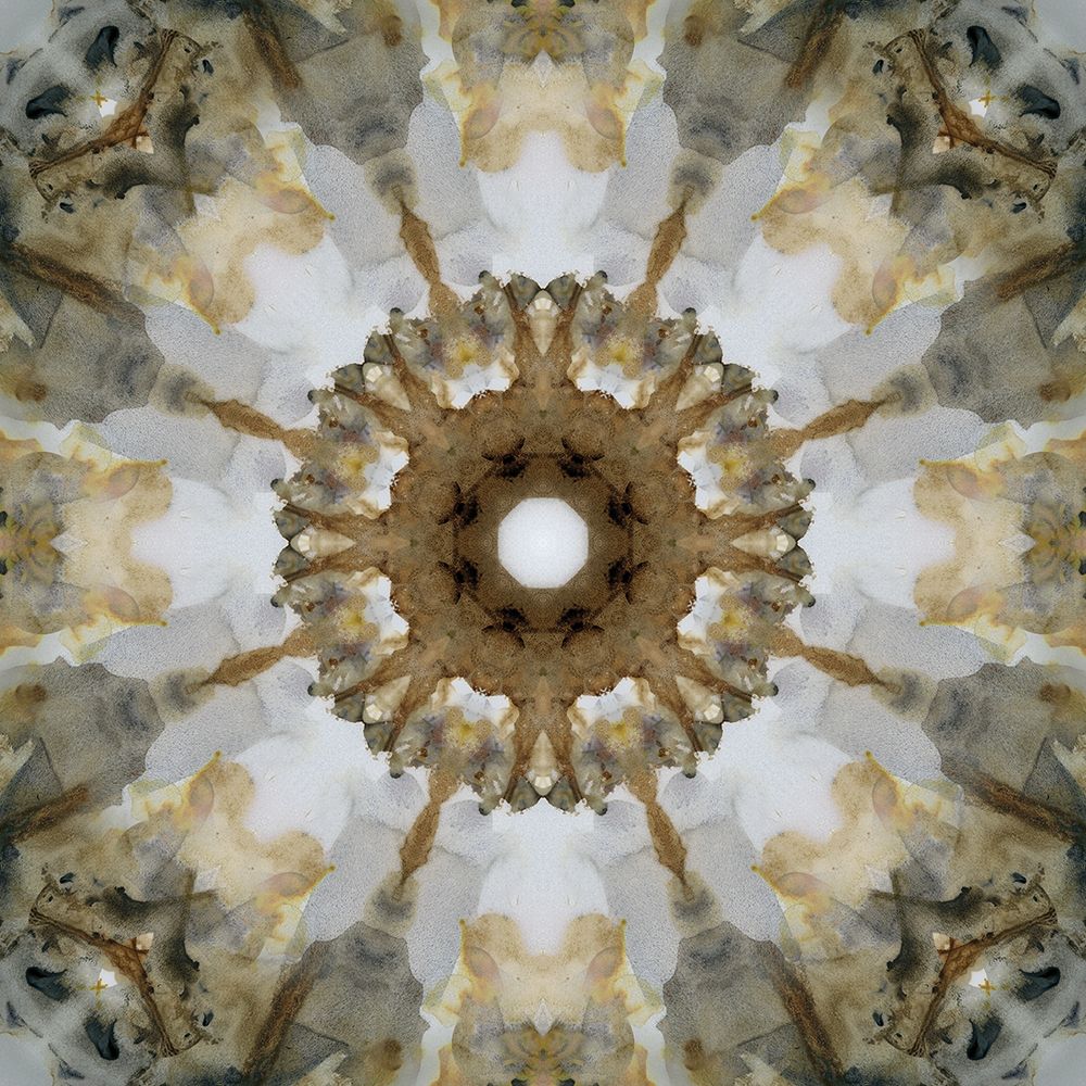 Kaleidoscope Honey Gray art print by Nan for $57.95 CAD