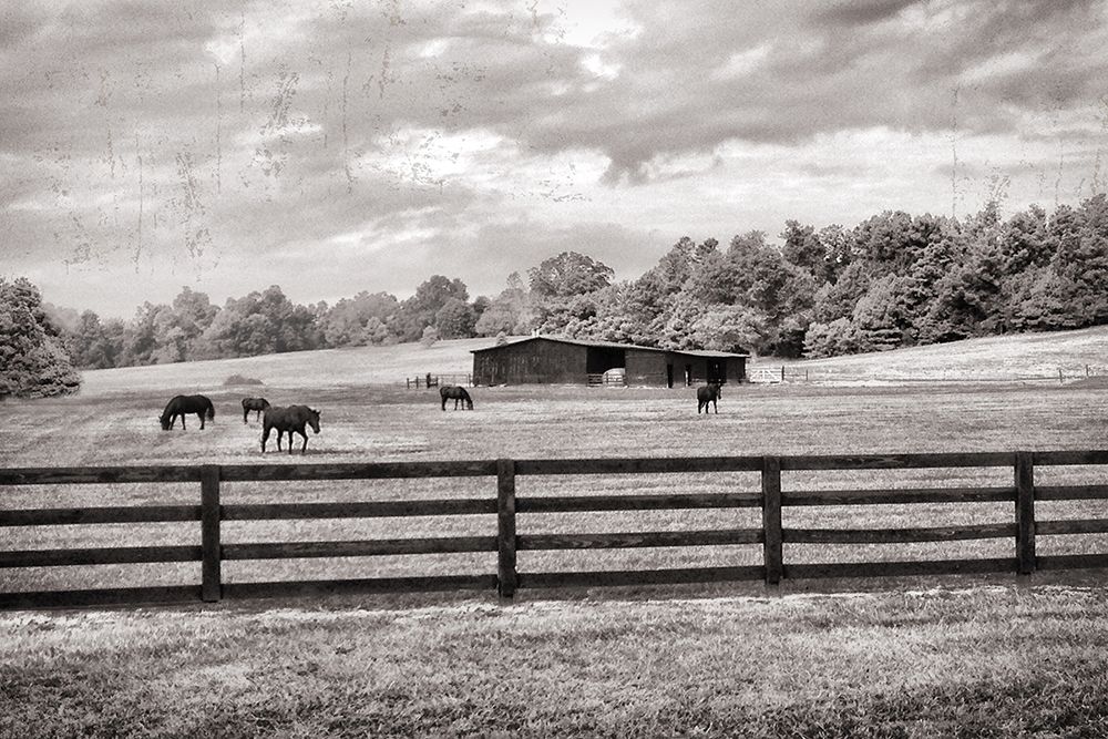Horse Country art print by Nan for $57.95 CAD