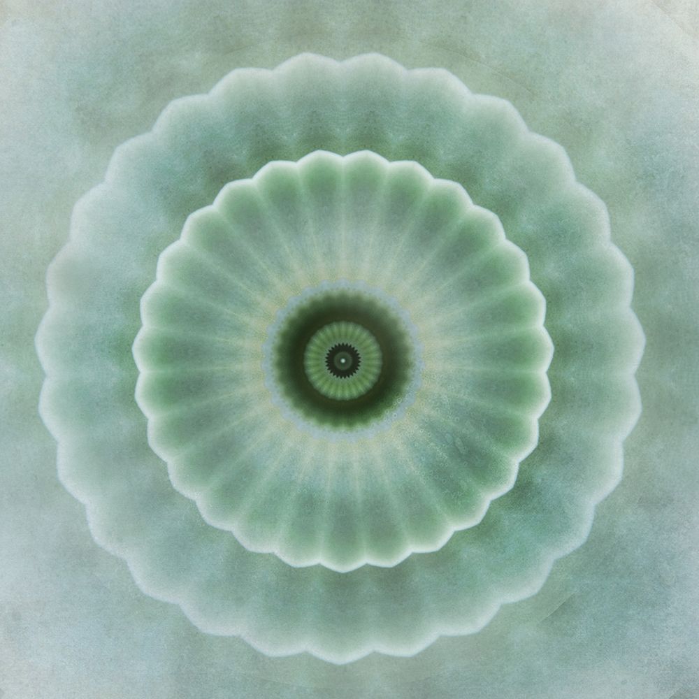 Kaleidoscope Succulent I art print by Irene Weisz for $57.95 CAD