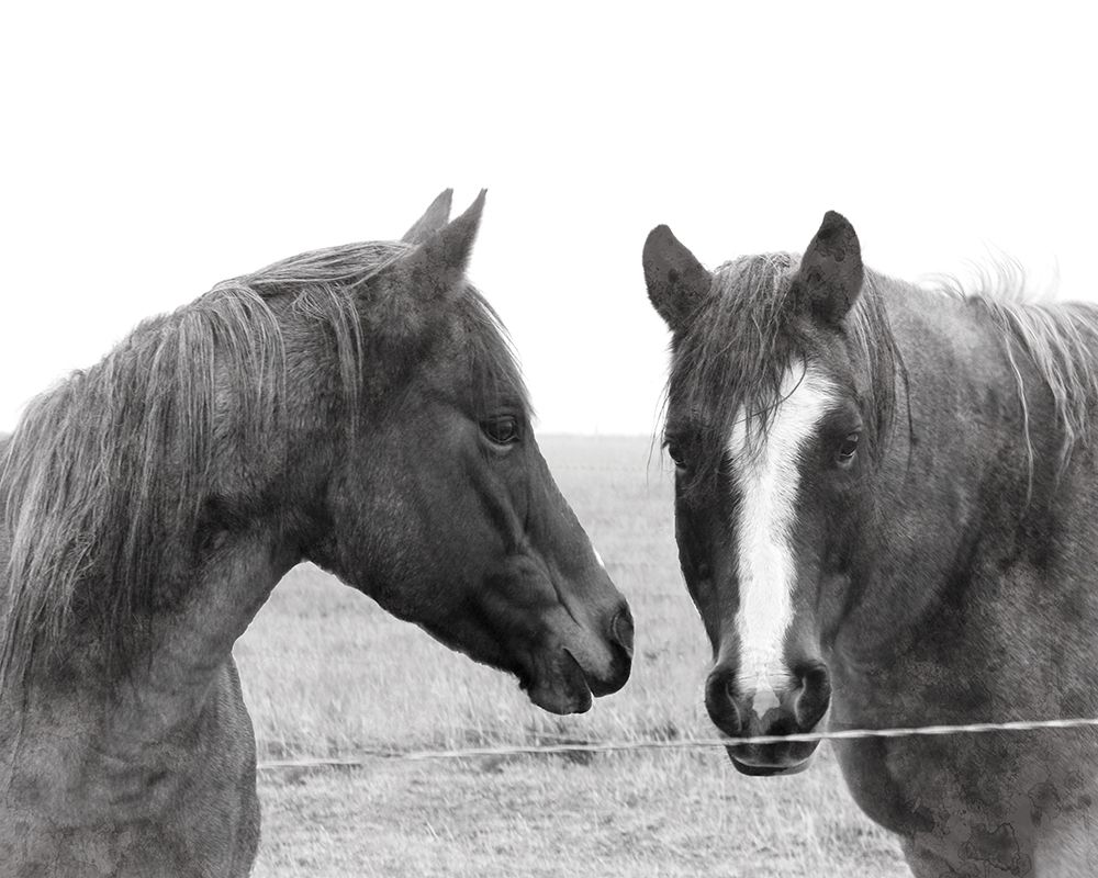 Wild Pastures art print by Carol Robinson for $57.95 CAD