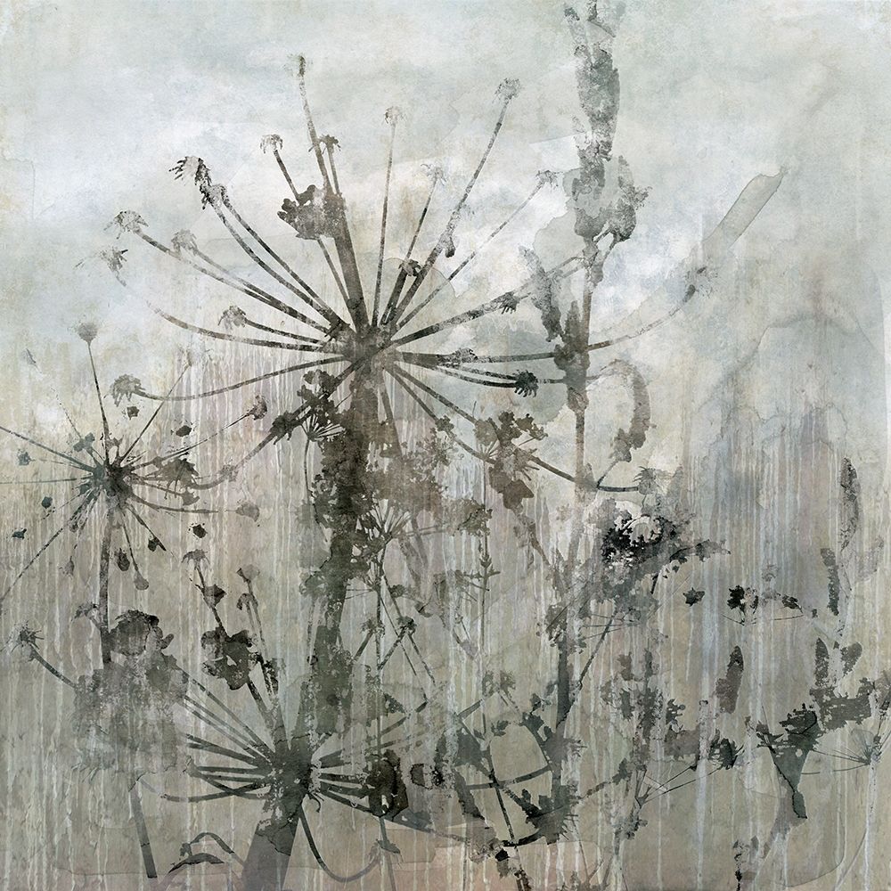 Winters Lace I art print by Carol Robinson for $57.95 CAD