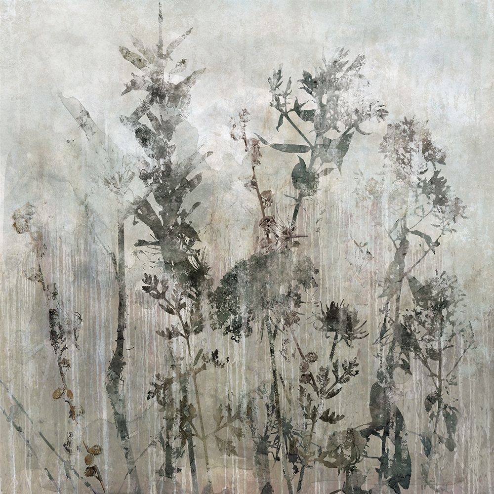 Winters Lace II art print by Carol Robinson for $57.95 CAD