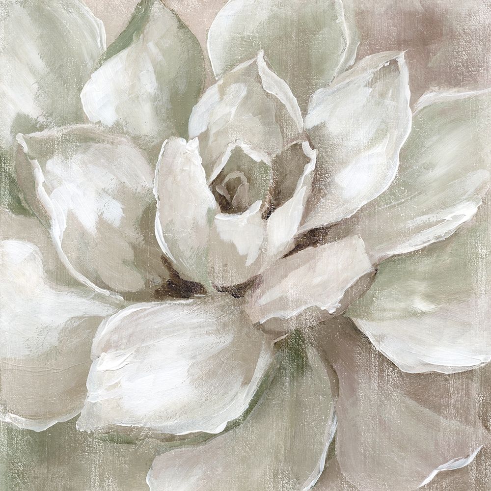 Hazy Summer Succulent art print by Nan for $57.95 CAD