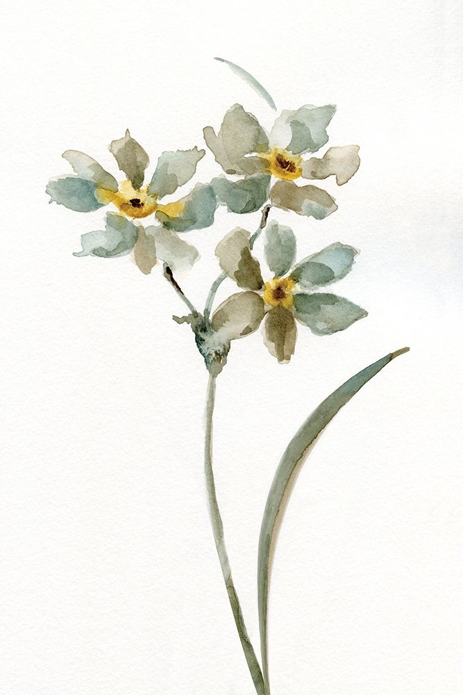 Neutral Botanical I art print by Nan for $57.95 CAD