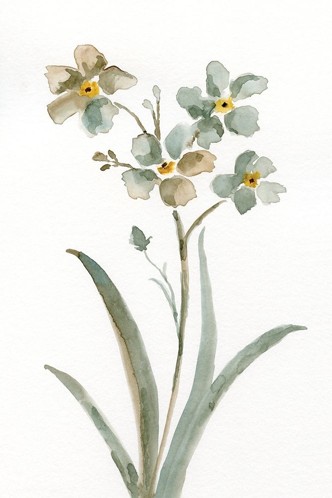 Neutral Botanical II art print by Nan for $57.95 CAD