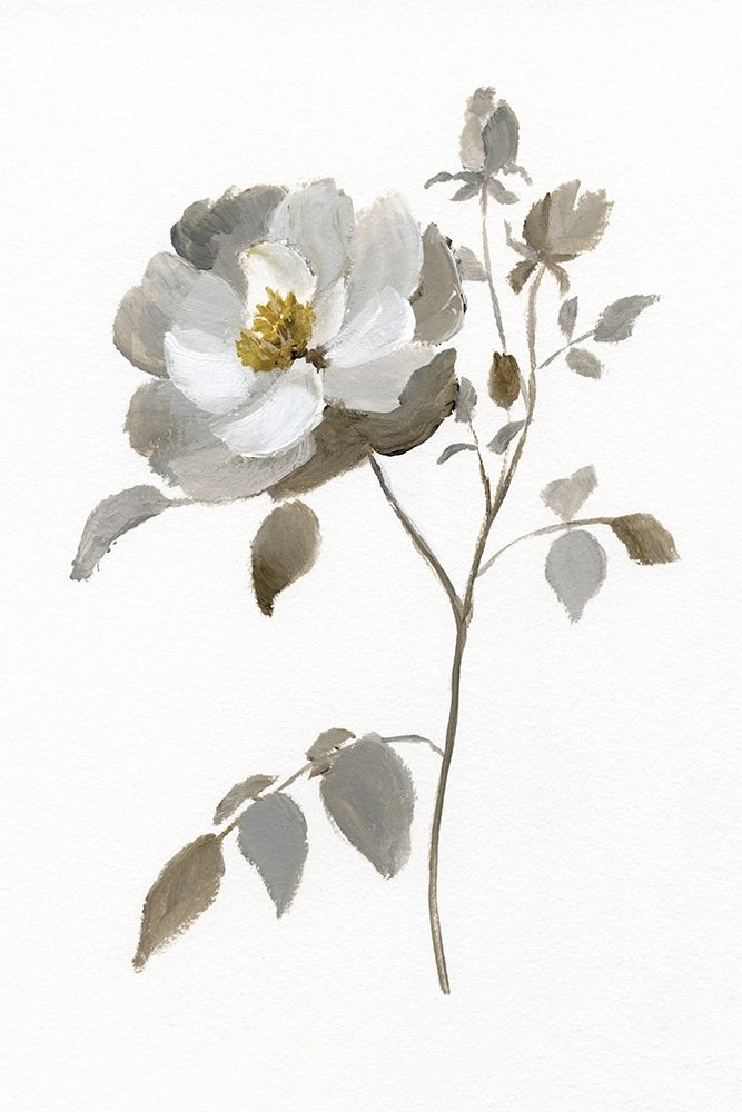 Neutral Rose II art print by Nan for $57.95 CAD