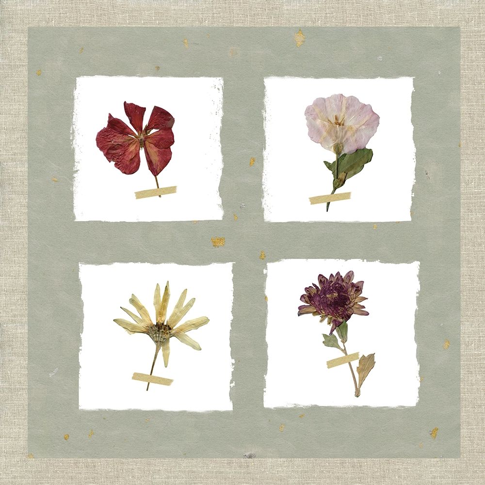 Pressed Blooms I art print by Carol Robinson for $57.95 CAD