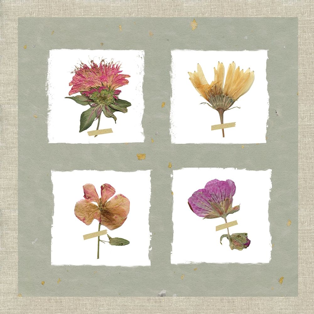 Pressed Blooms II art print by Carol Robinson for $57.95 CAD