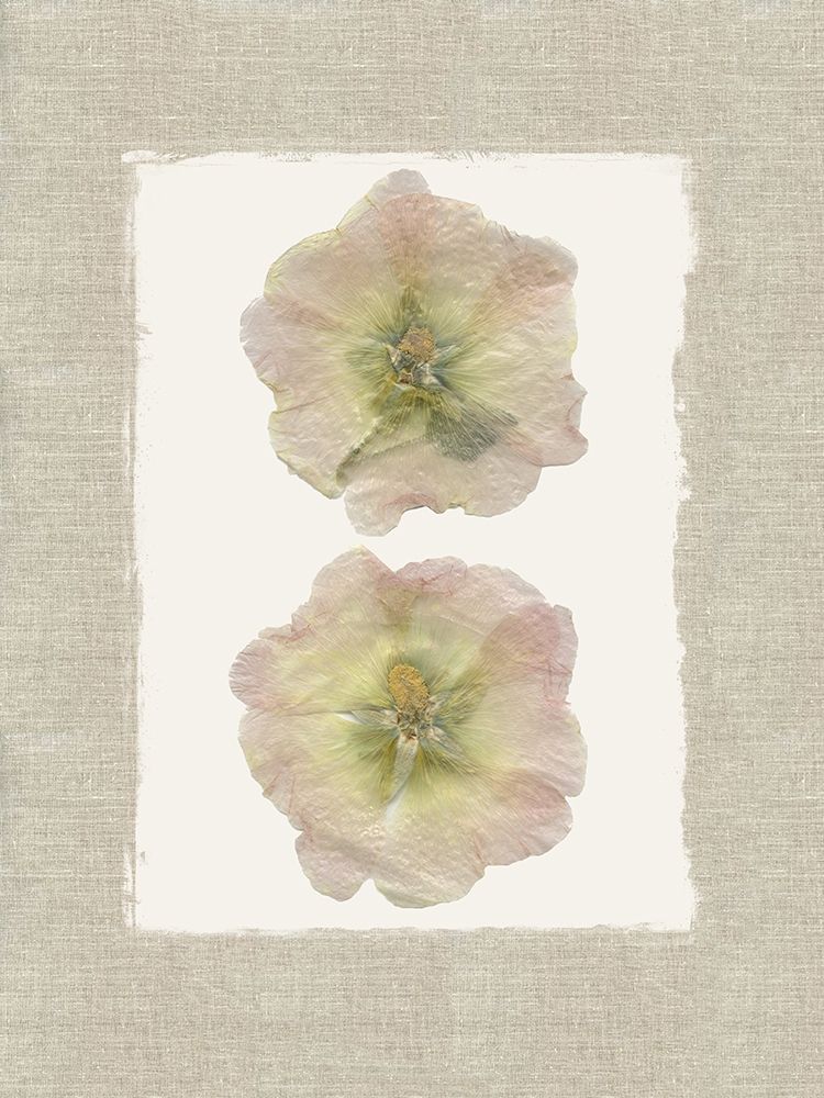 Pressed Duo art print by Carol Robinson for $57.95 CAD