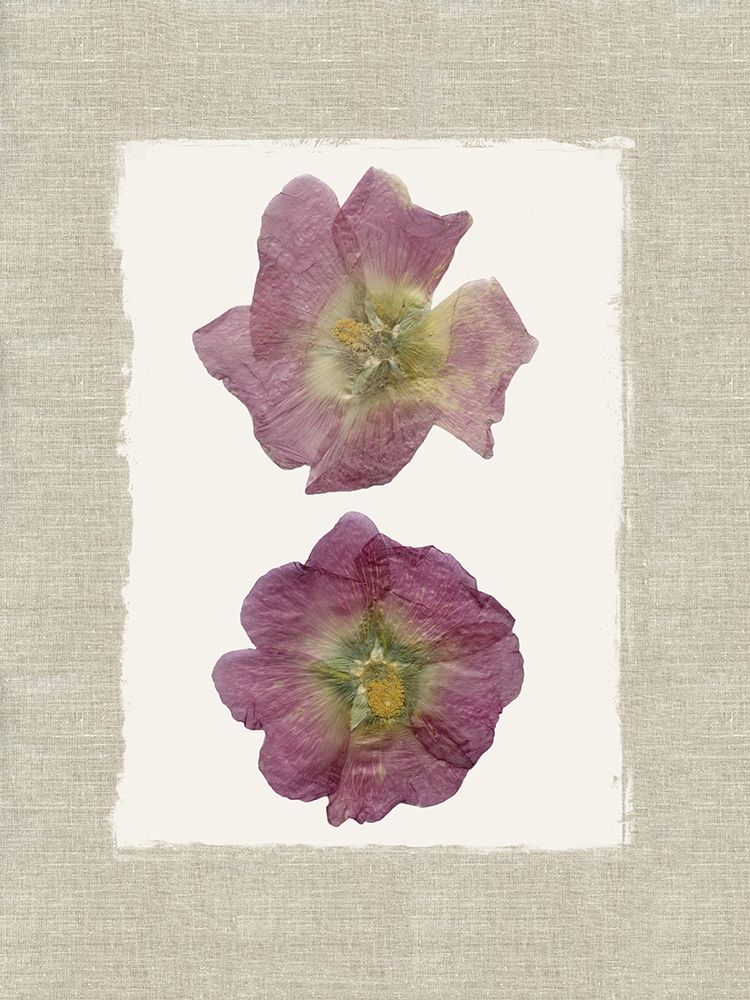 Pressed Duo art print by Carol Robinson for $57.95 CAD