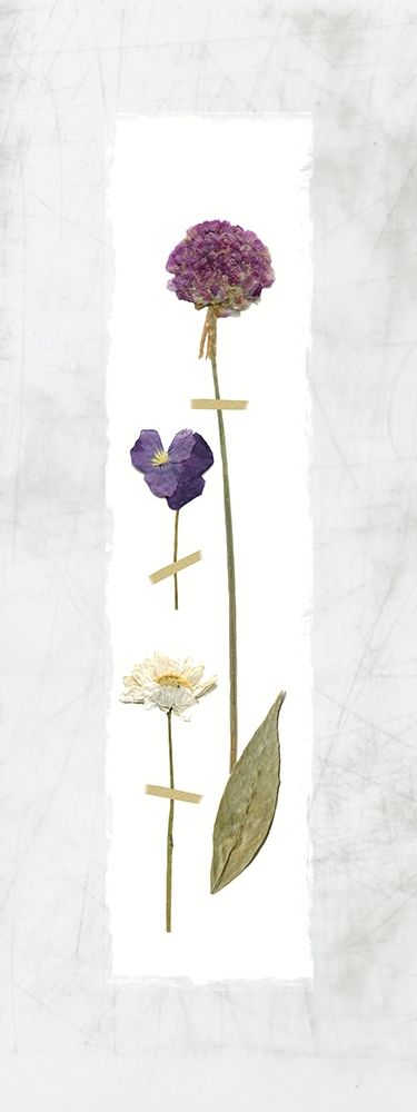 Pressed Panel I art print by Carol Robinson for $57.95 CAD