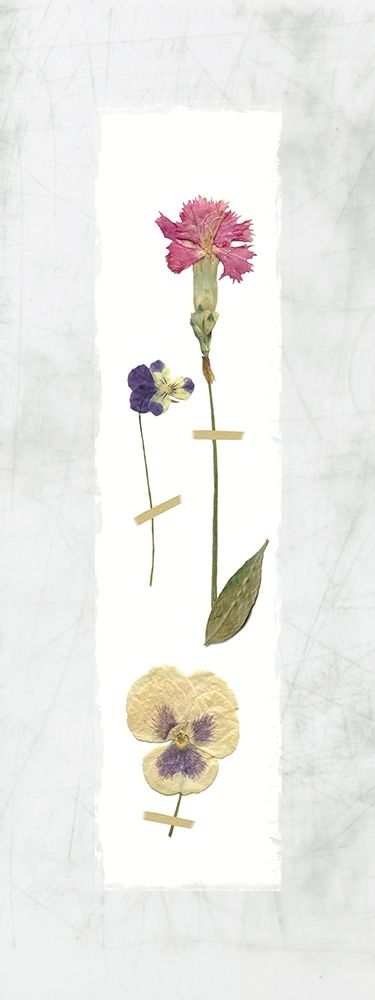 Pressed Panel II art print by Carol Robinson for $57.95 CAD