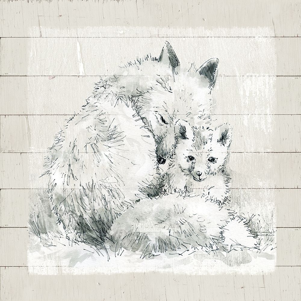 Sketchy Mother and Baby Fox art print by Carol Robinson for $57.95 CAD