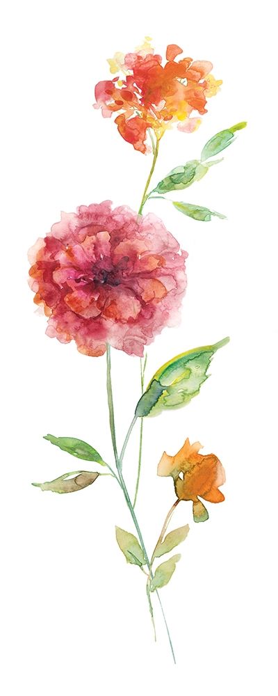 Color Wash art print by Carol Robinson for $57.95 CAD