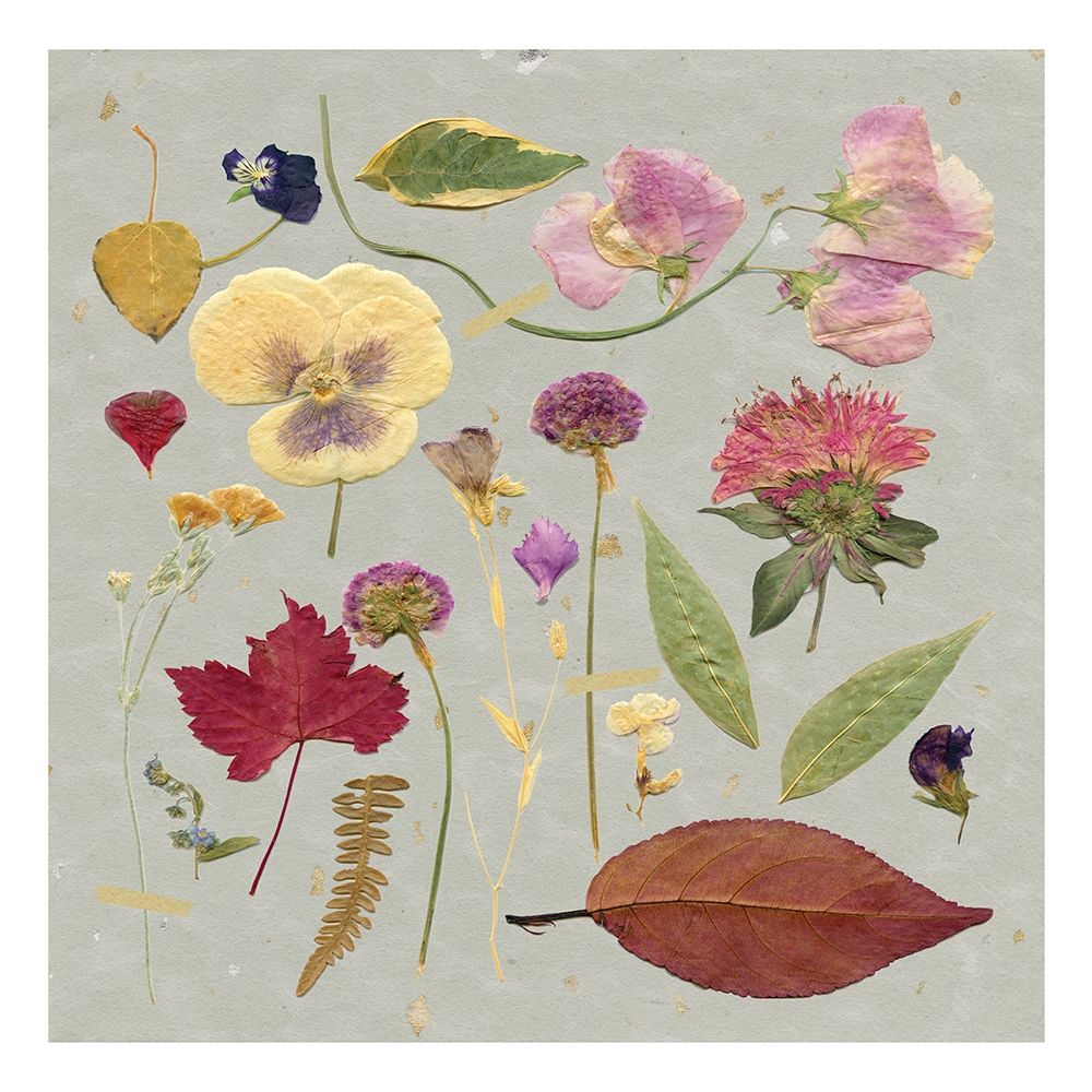 Pressed Assortment art print by Carol Robinson for $57.95 CAD