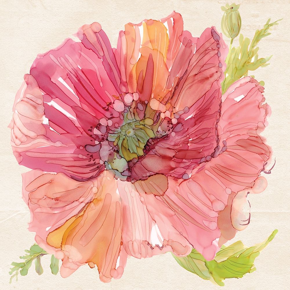 Botanical Poppy art print by Carol Robinson for $57.95 CAD