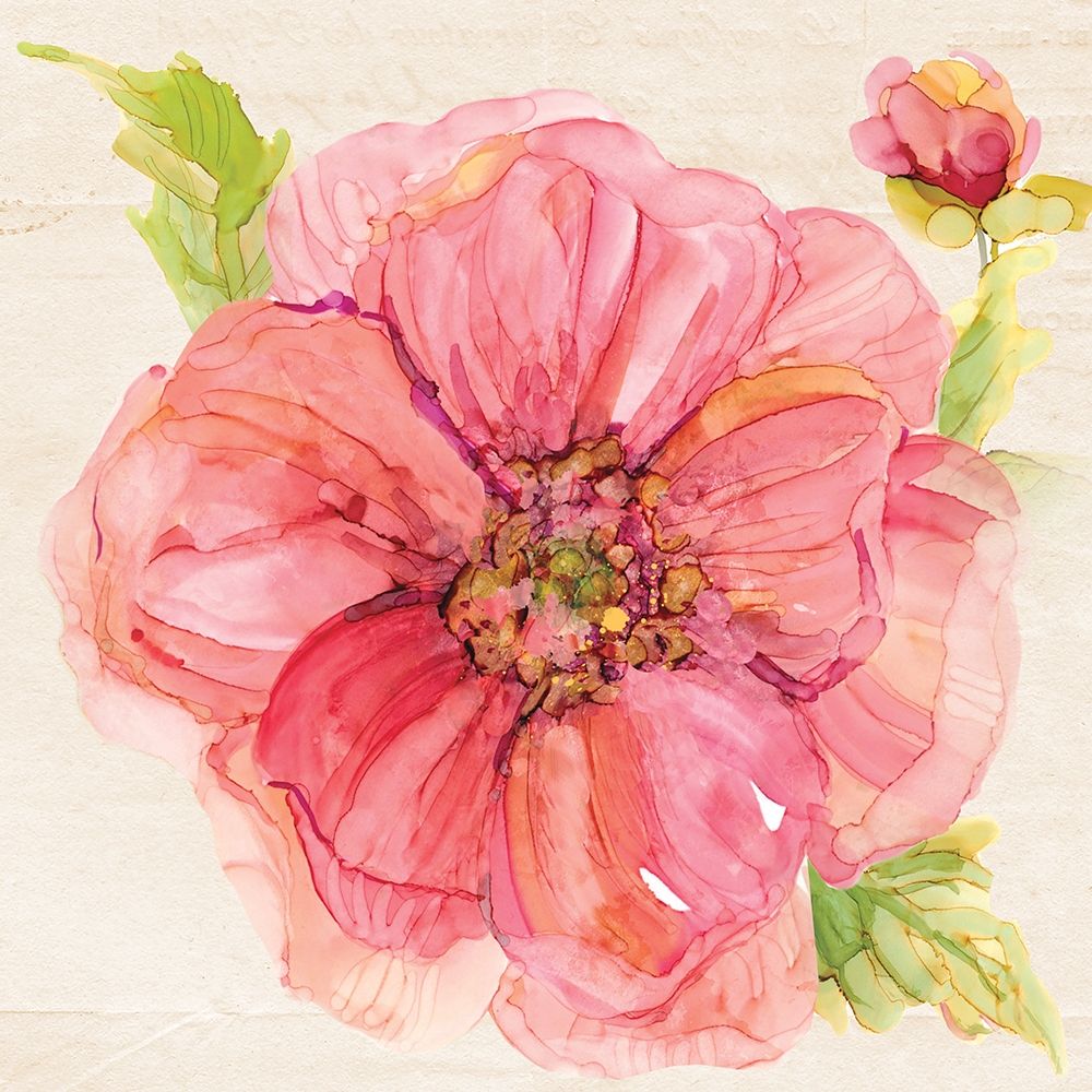 Botanical Peony art print by Carol Robinson for $57.95 CAD