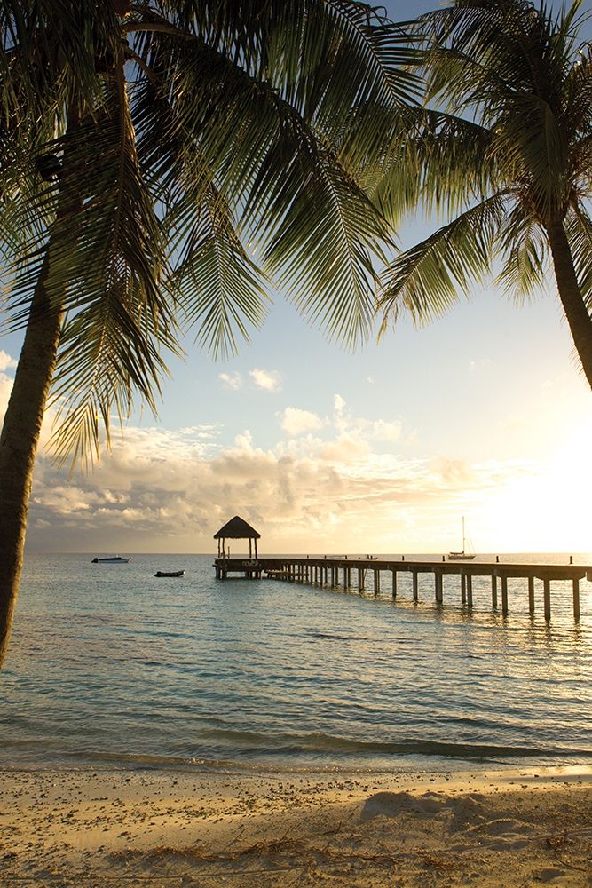 Pier and Palm art print by Danita Delimont for $57.95 CAD
