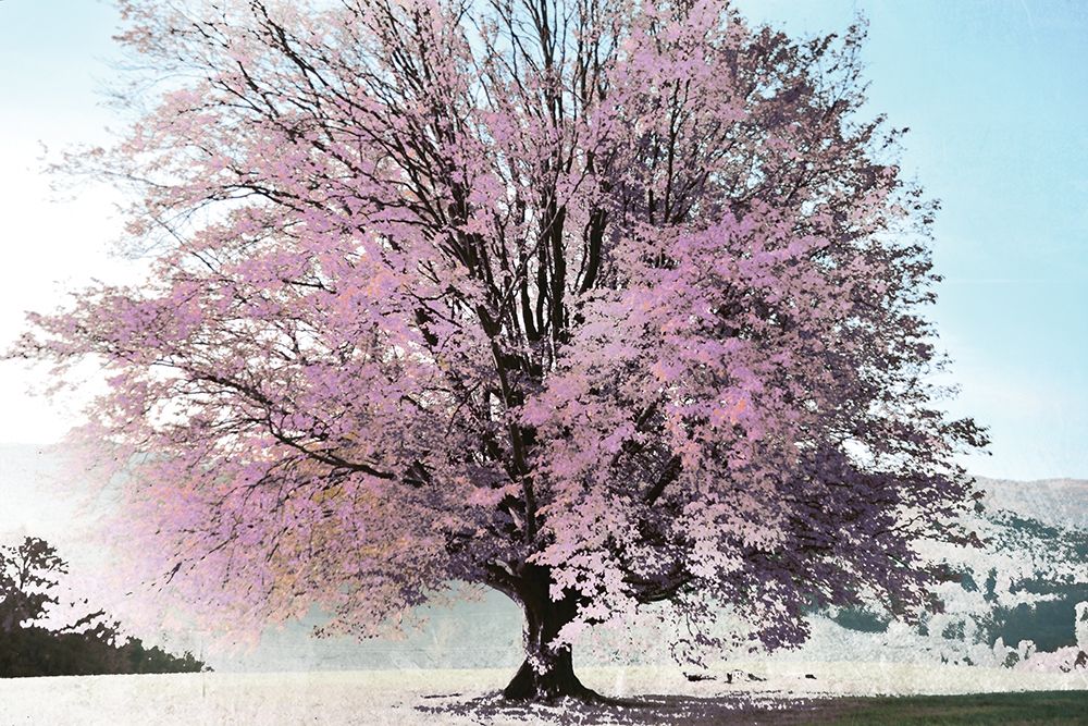 Season of Spring art print by Irene Weisz for $57.95 CAD