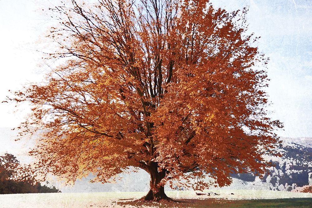 Season of Fall art print by Irene Weisz for $57.95 CAD