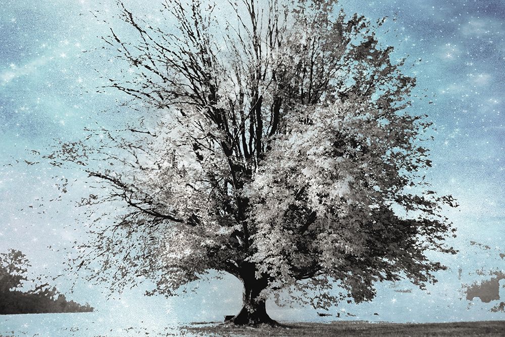 Season of Winter art print by Irene Weisz for $57.95 CAD