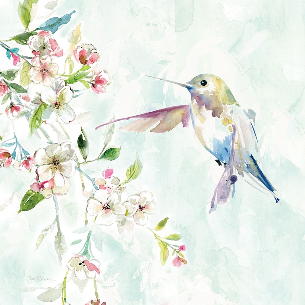 Hummingbird IV art print by Carol Robinson for $57.95 CAD