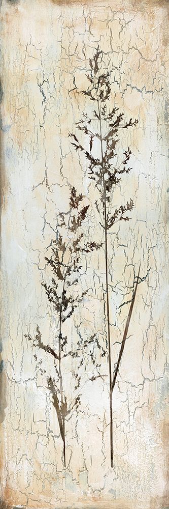 Delicate Nature I art print by Carol Robinson for $57.95 CAD