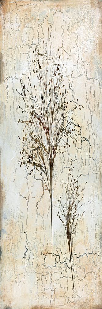 Delicate Nature II art print by Carol Robinson for $57.95 CAD