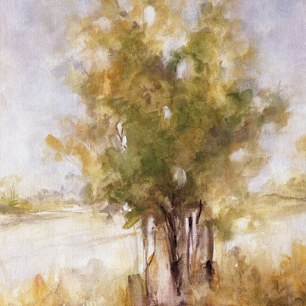 Gentle Groves I art print by Carol Robinson for $57.95 CAD