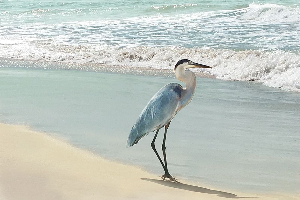 Beach Set Heron art print by Nan for $57.95 CAD