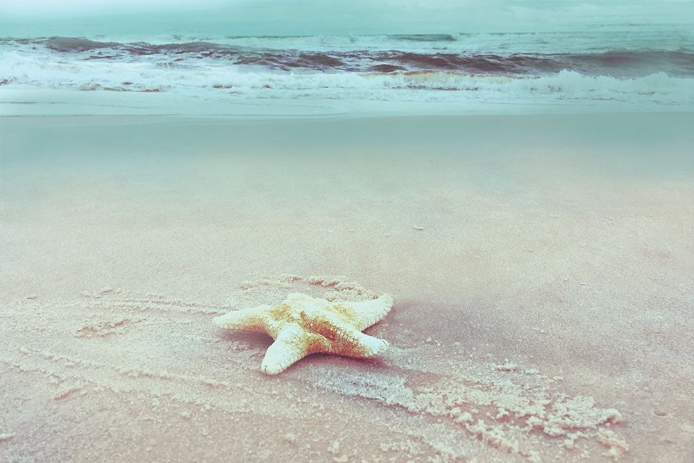 Beach Set Starfish art print by Nan for $57.95 CAD