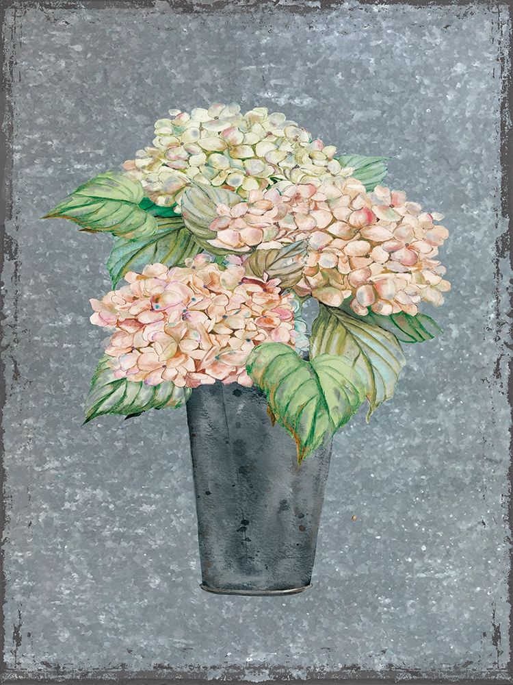 Hydrangea on Galvanized Metal art print by Carol Robinson for $57.95 CAD