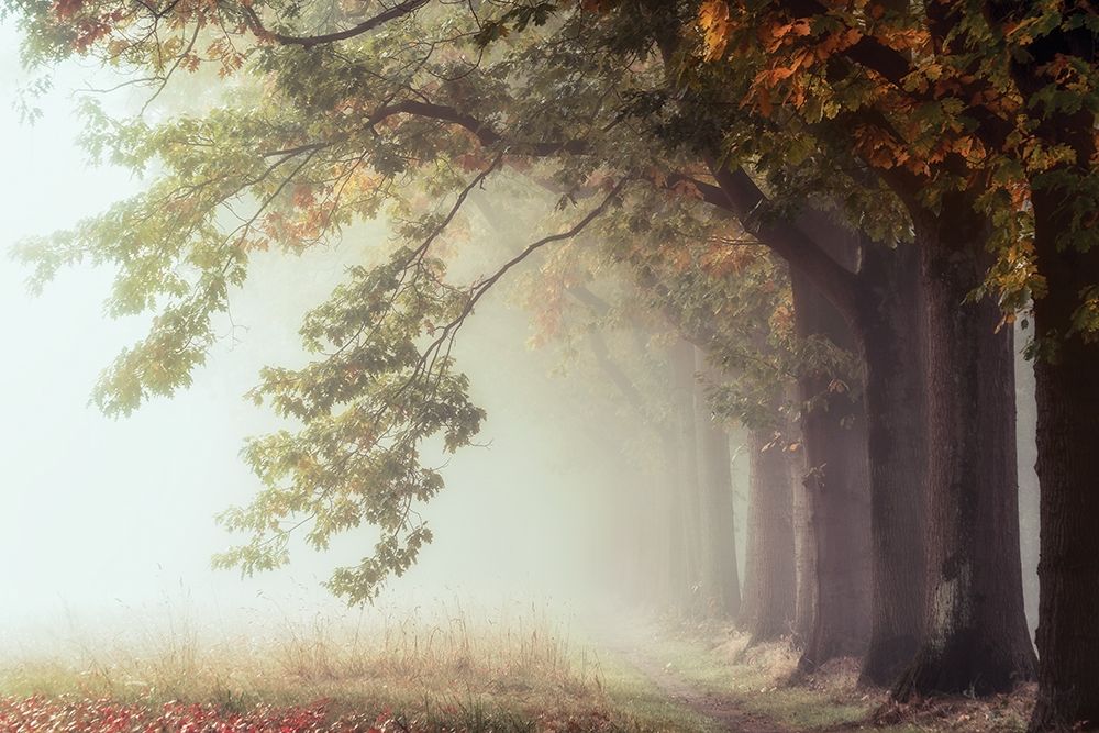 Dawnscratchers art print by Lars Van de Goor for $57.95 CAD