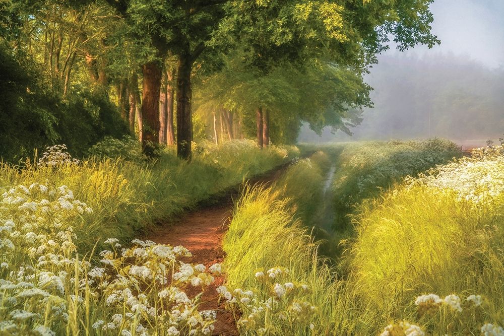 Spring in Holland art print by Lars Van de Goor for $57.95 CAD