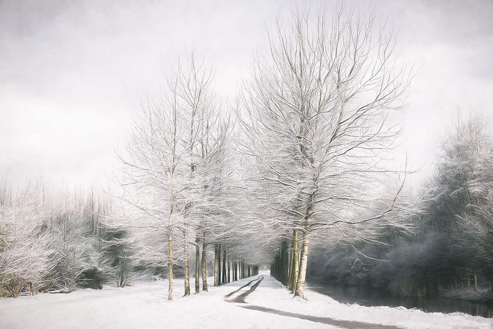 Winter is Here art print by Lars Van de Goor for $57.95 CAD