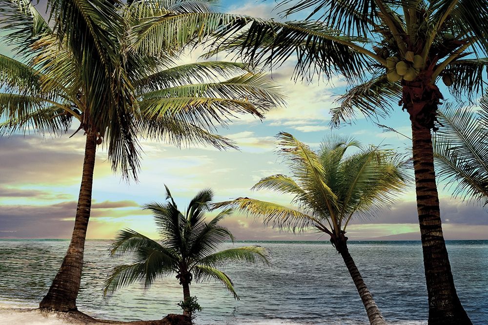 Honduras Sunset art print by Natalie Carpentieri for $57.95 CAD