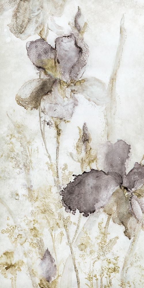 Dawn Iris art print by Carol Robinson for $57.95 CAD