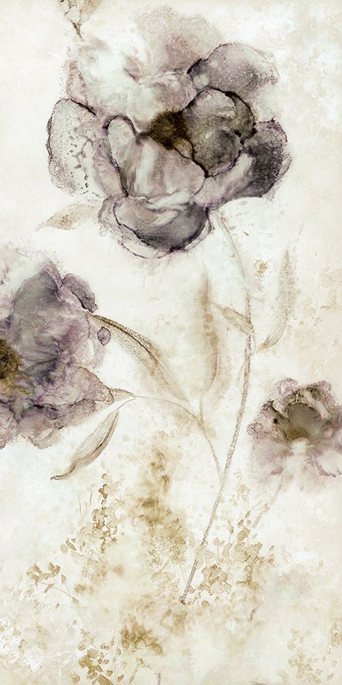 Dawn Peony art print by Carol Robinson for $57.95 CAD
