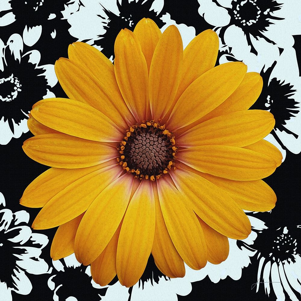 Black and Bloom art print by James Burghardt for $57.95 CAD