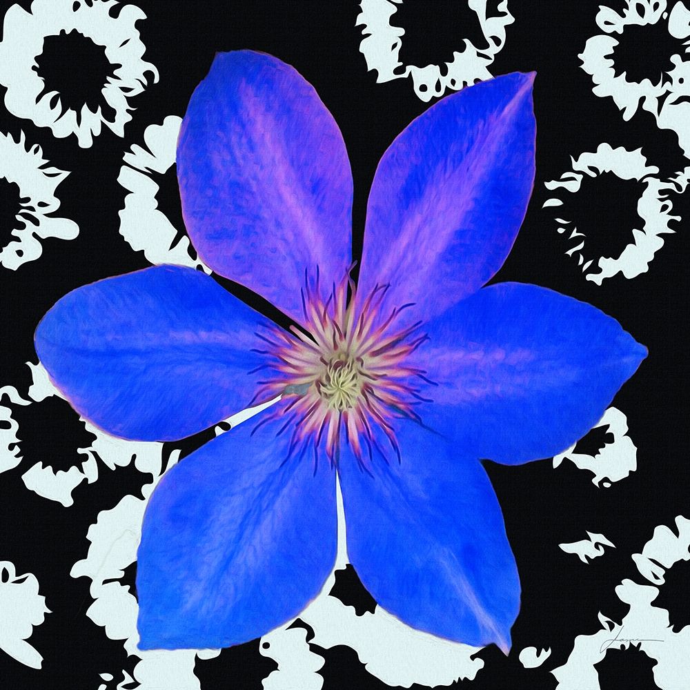 Black and Bloom art print by James Burghardt for $57.95 CAD