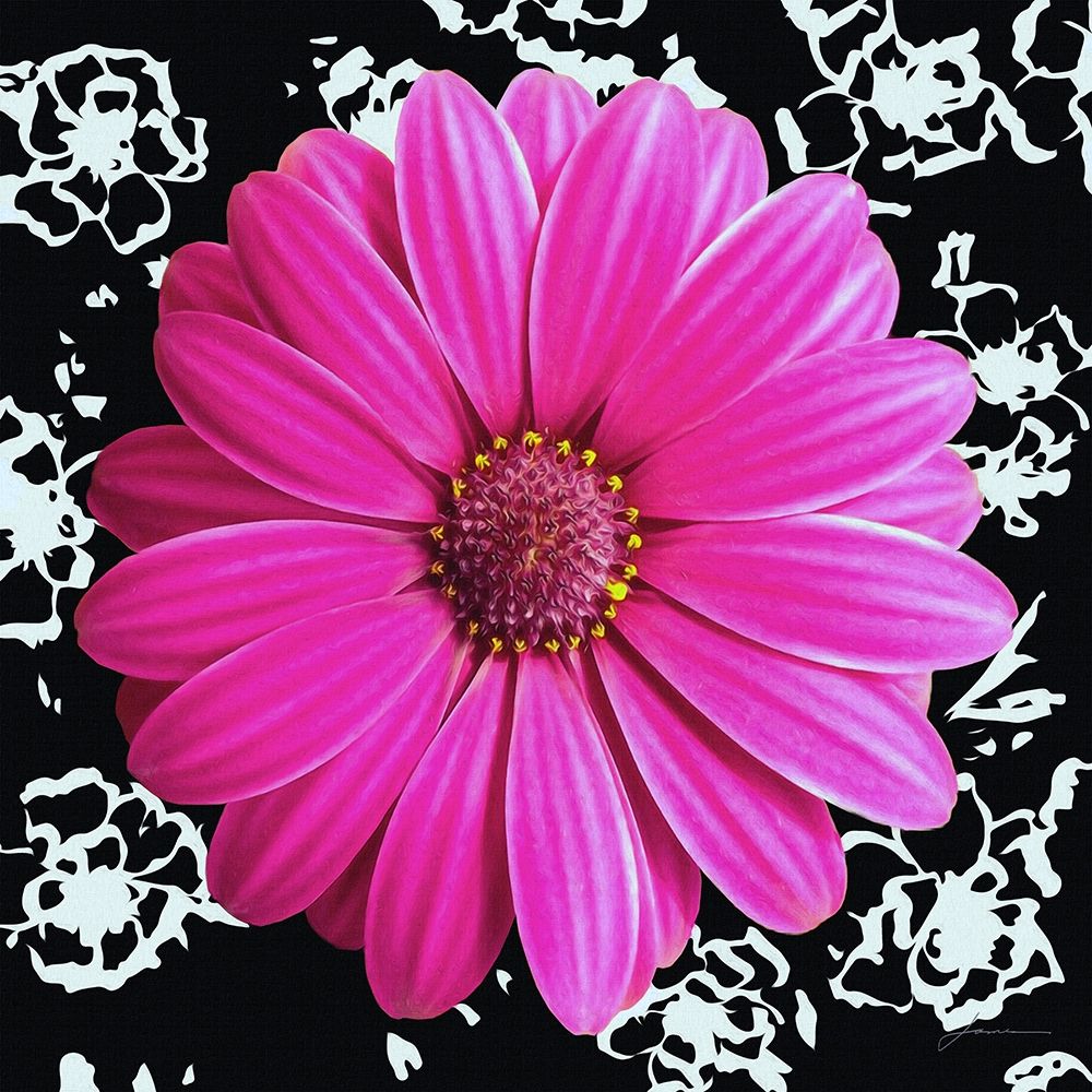 Black and Bloom art print by James Burghardt for $57.95 CAD