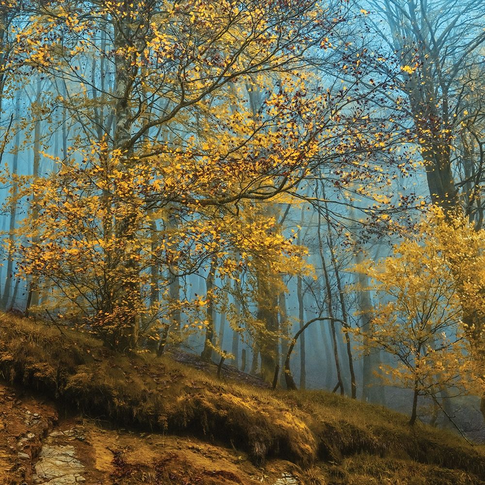 Playing The art print by Lars Van de Goor for $57.95 CAD